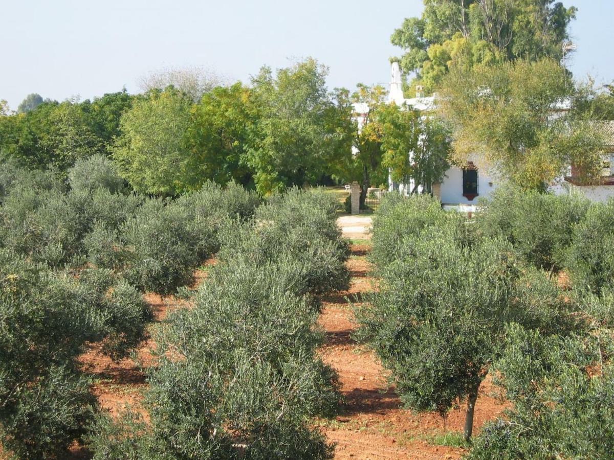 Hacienda Chambergo Casa En La Campina Sevillana Écija Εξωτερικό φωτογραφία